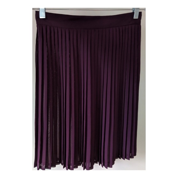 American Apparel Dresses & Skirts - American Apparel Pleated Chiffon Skirt